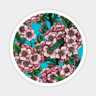 Cherry blossom on blue Magnet